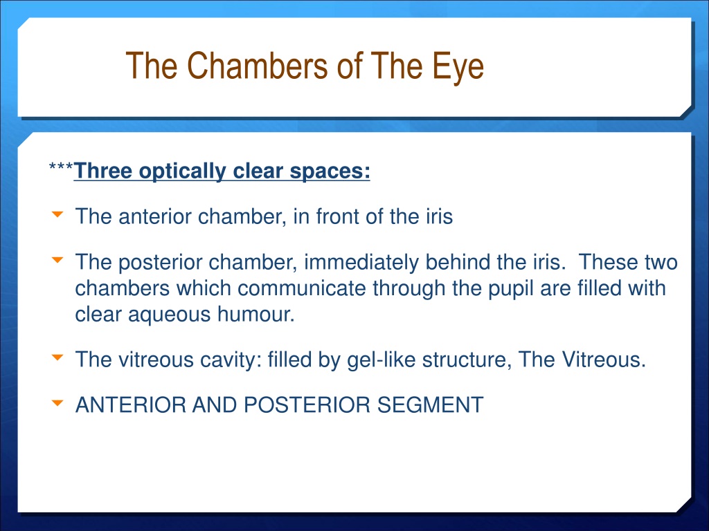 Ppt Basic Anatomy And Physiology Of The Eye Powerpoint Presentation