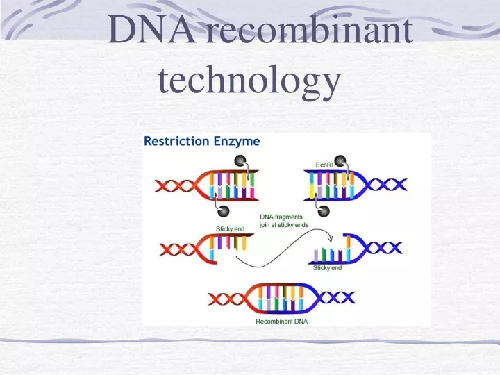 dna recombinant technology n.