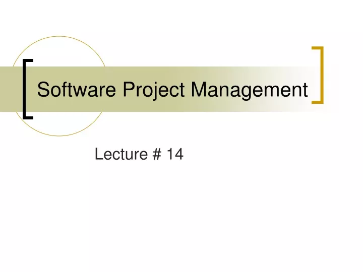 software project management n.