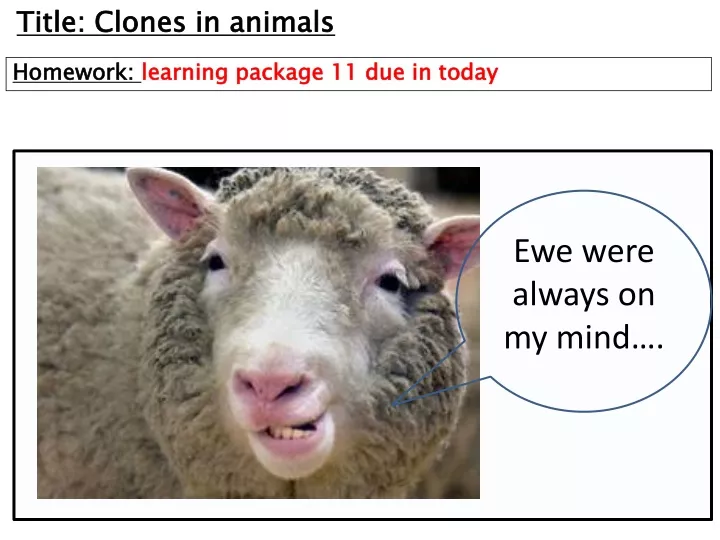 title clones in animals n.