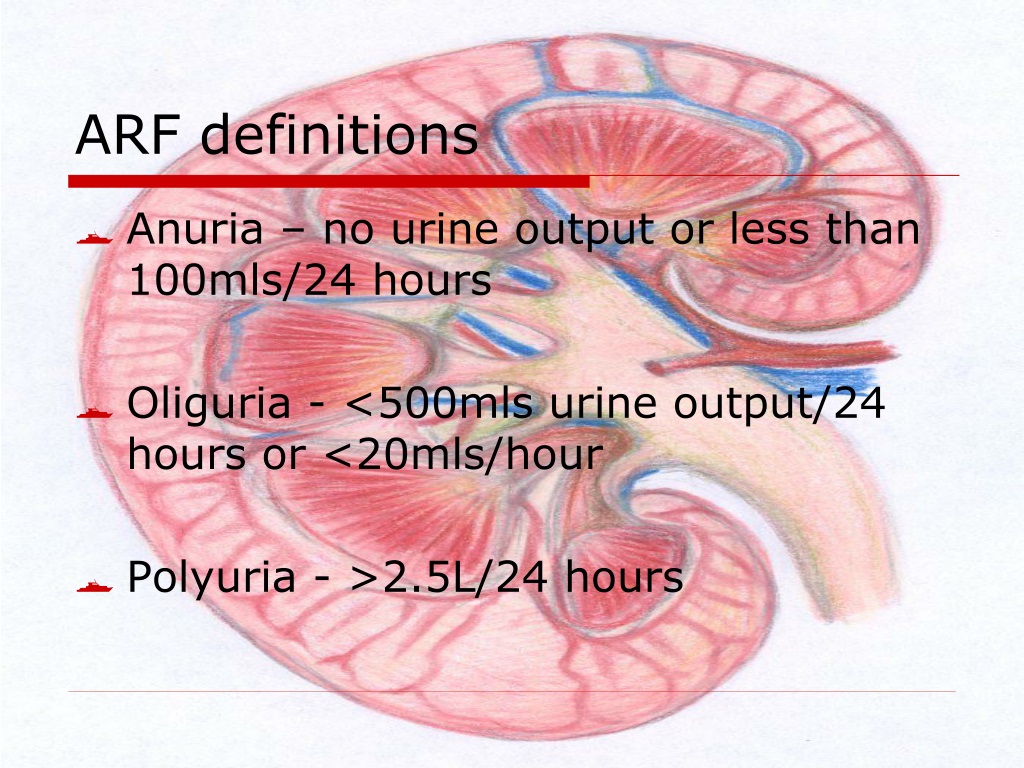 PPT - Acute Renal Failure PowerPoint Presentation, free download - ID ...