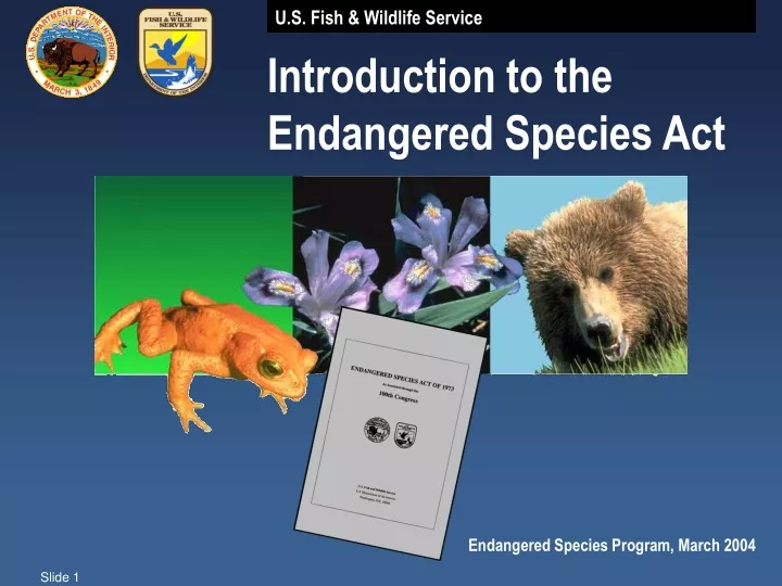 PPT - Introduction to the Endangered Species Act PowerPoint