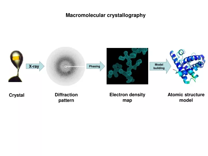 macromolecular crystallography n.