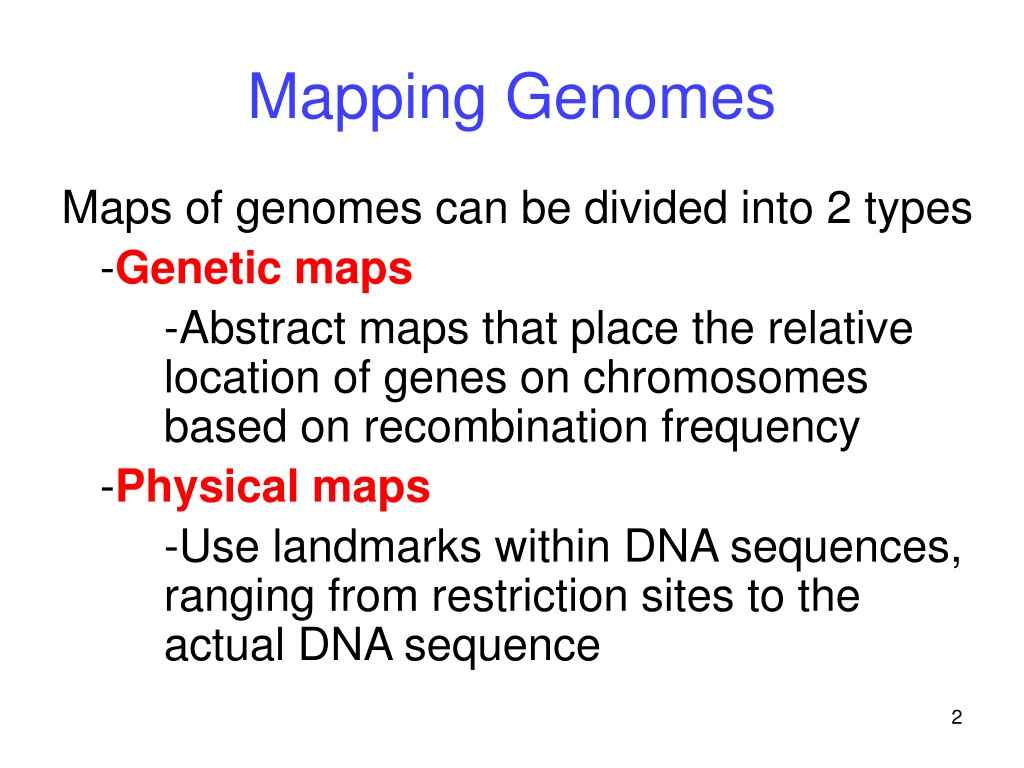 PPT - Genomics PowerPoint Presentation, Free Download - ID:9500501