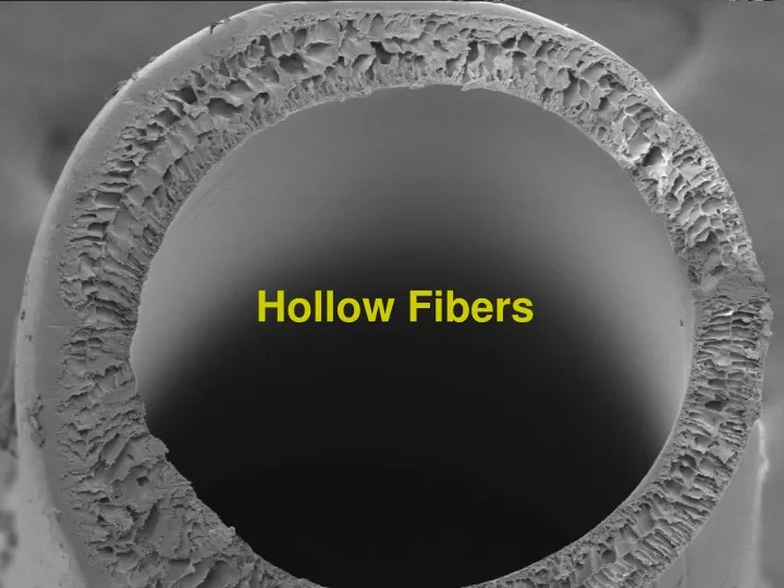 hollow fibers n.