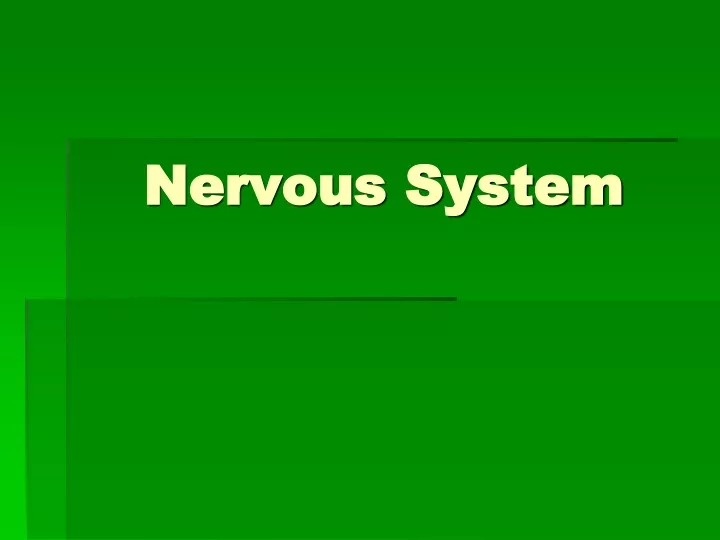 Ppt Nervous System Powerpoint Presentation Free Download Id 9505333