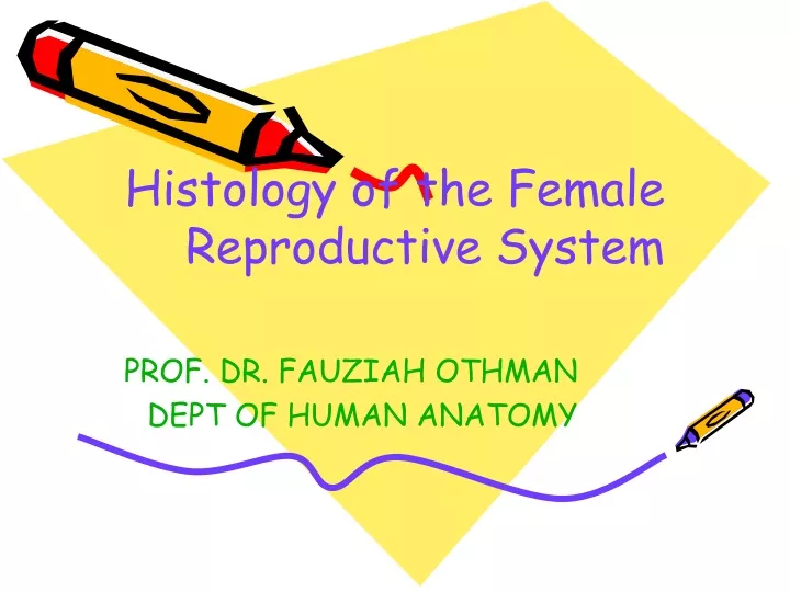 Ppt Histology Of The Female Reproductive System Powerpoint Presentation Id9507236 7806