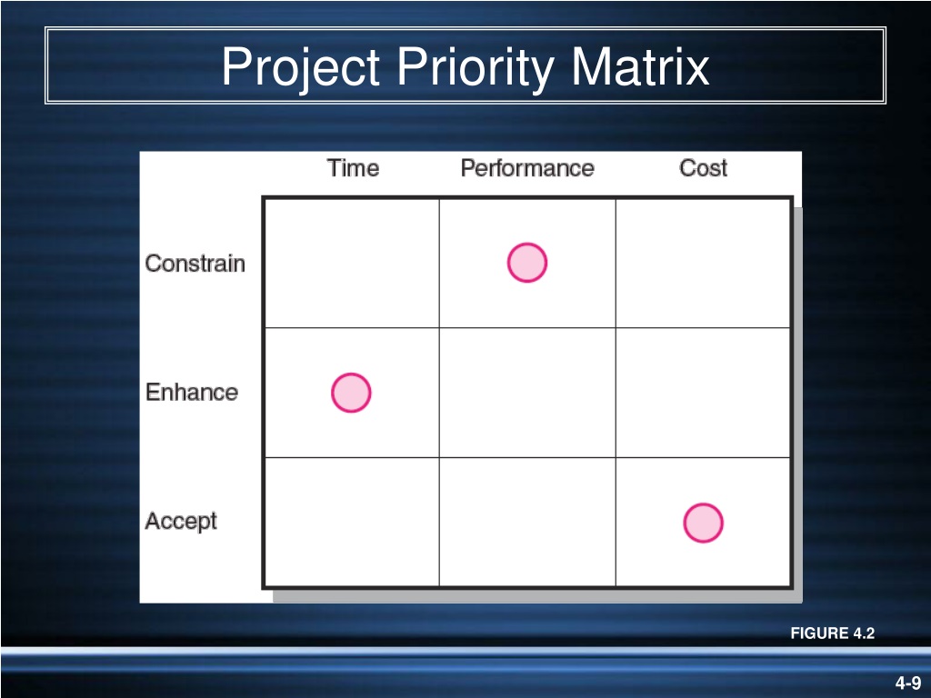 ms project priority matrix