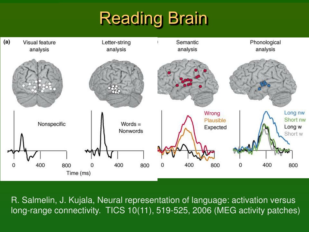 R brain. Чтение и мозг. Влияние чтения на мозг. Влияние чтения на мозг человека. Влияние чтения на мозг исследования.