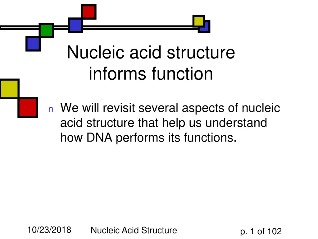 PPT - Nucleic Acid Structure Informs Function PowerPoint Presentation ...