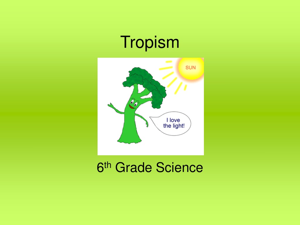 PPT - Tropism PowerPoint Presentation, Free Download - ID:9515576