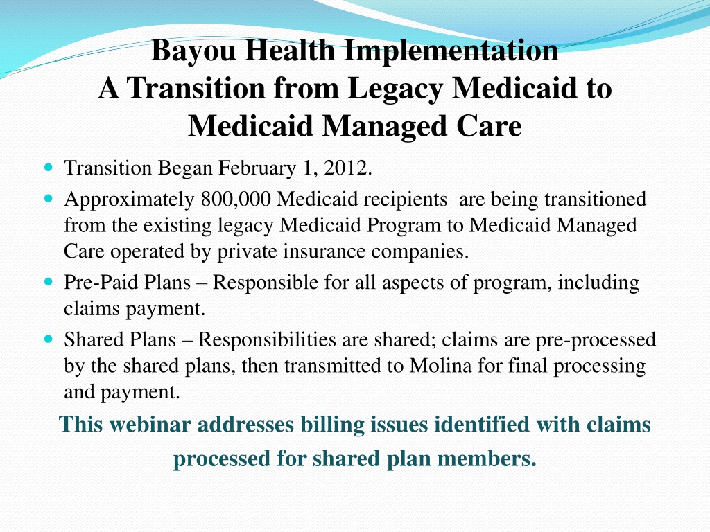 PPT Bayou Health Implementation PowerPoint Presentation, free download ID9515661