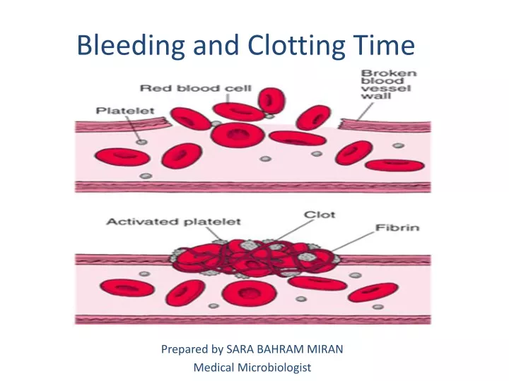 ppt-bleeding-and-clotting-time-powerpoint-presentation-free-download