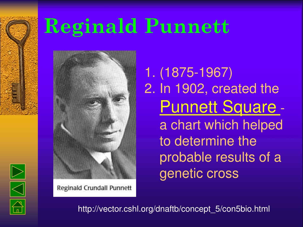 PPT - Gregor Mendel Genes & Alleles Genotype & Phenotype Homozygous