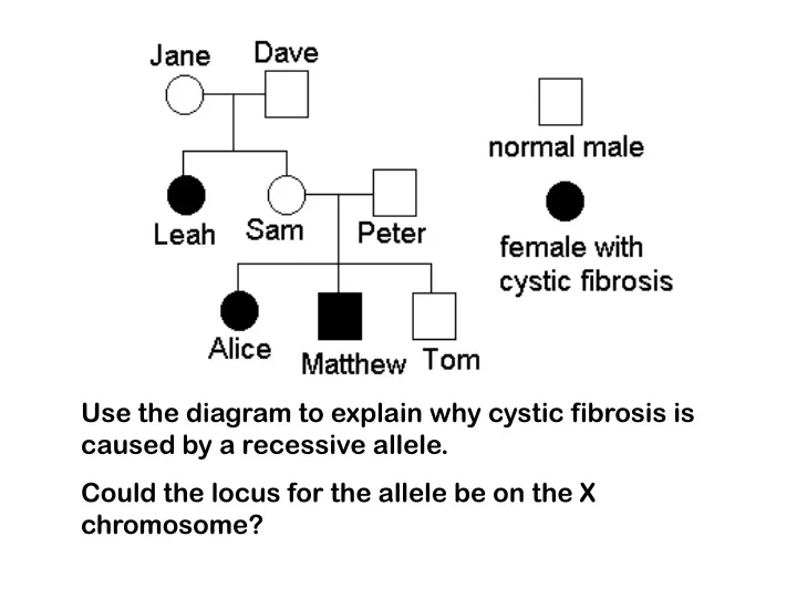 Ppt Use The Diagram To Explain Why Cystic Fibrosis Is Caused By A