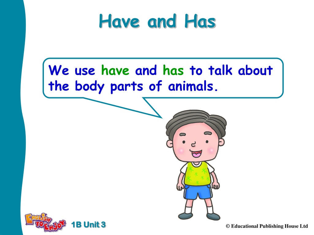 have and has presentation
