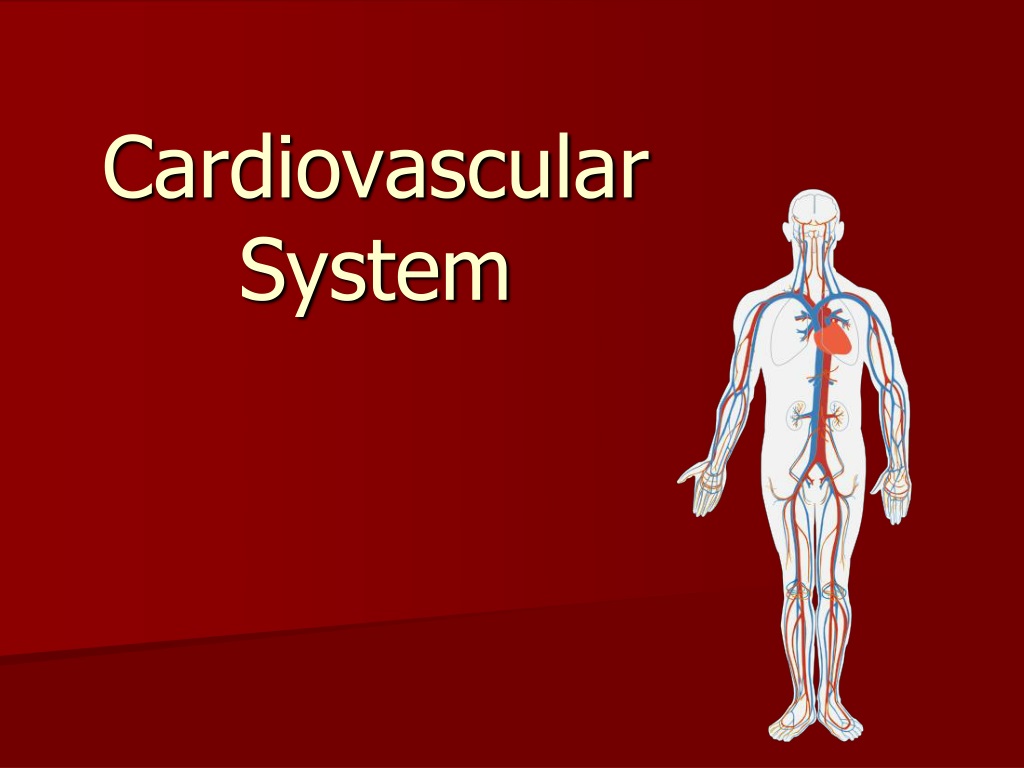 Ppt Cardiovascular System Powerpoint Presentation Free Download Id9526299 