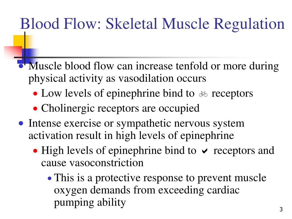 PPT - Special circulations, Coronary, Pulmonary… PowerPoint ...