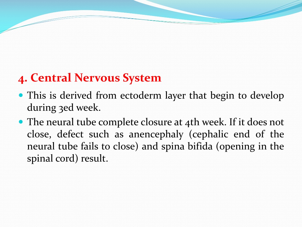 PPT - Fetal physiology and fetal circulation PowerPoint Presentation