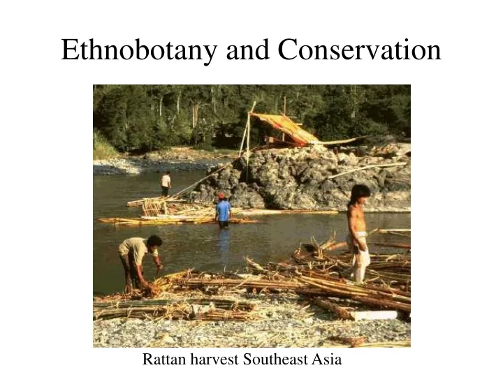 PPT - Ethnobotany And Conservation PowerPoint Presentation, Free ...