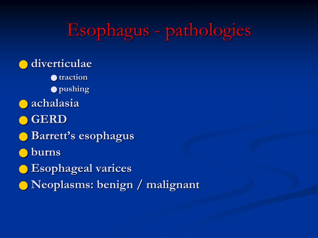 PPT - Diseases Of The Esophagus PowerPoint Presentation, Free Download ...