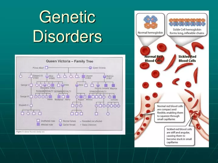Ppt Population Genetics Powerpoint Presentation Free Download Id C42