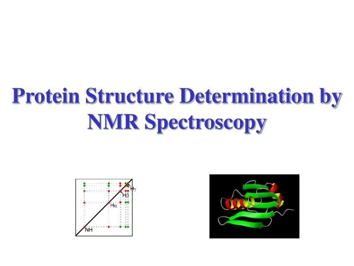PPT - Protein Structure Determination by NMR Spectroscopy PowerPoint ...