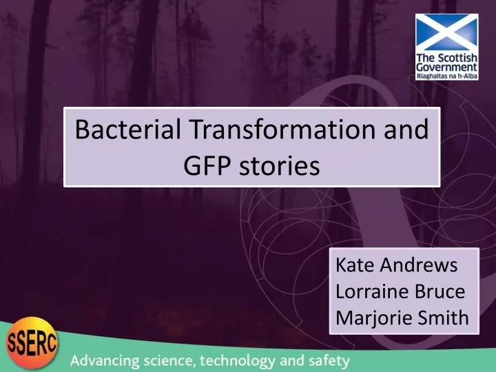 bacterial transformation and gfp stories n.