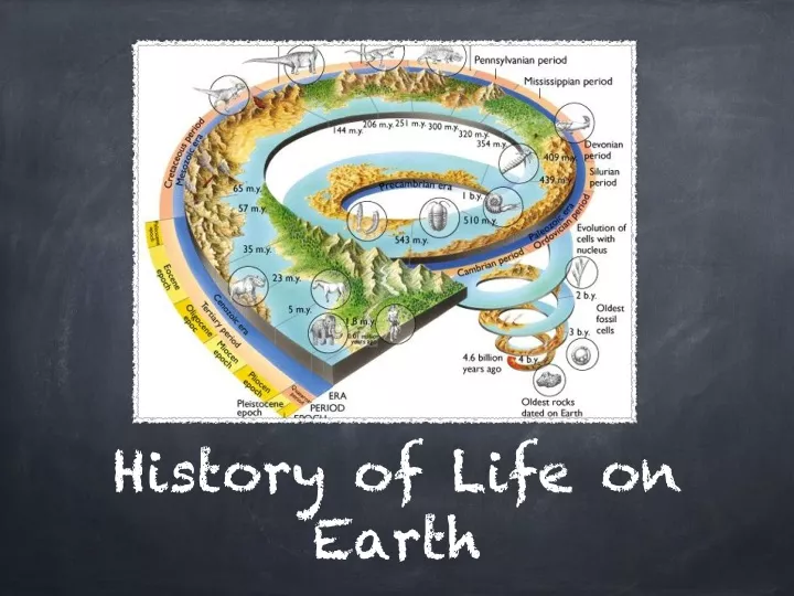 ppt-history-of-life-on-earth-powerpoint-presentation-free-download