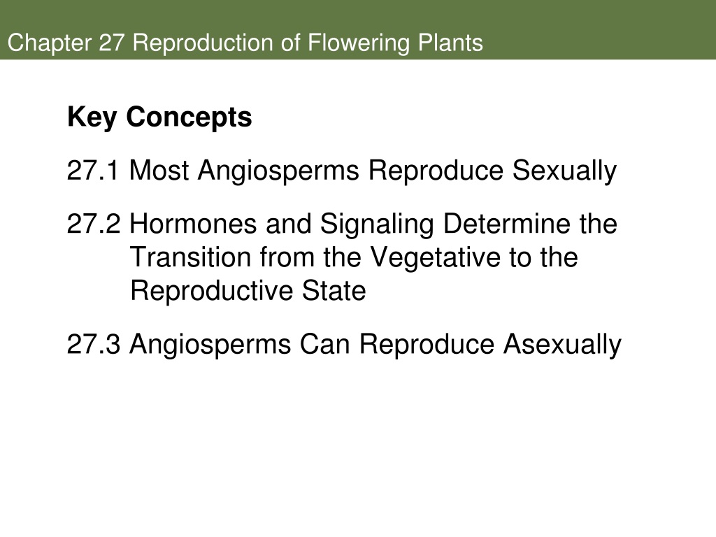 Ppt Reproduction Of Flowering Plants Powerpoint Presentation Free Download Id9540545 