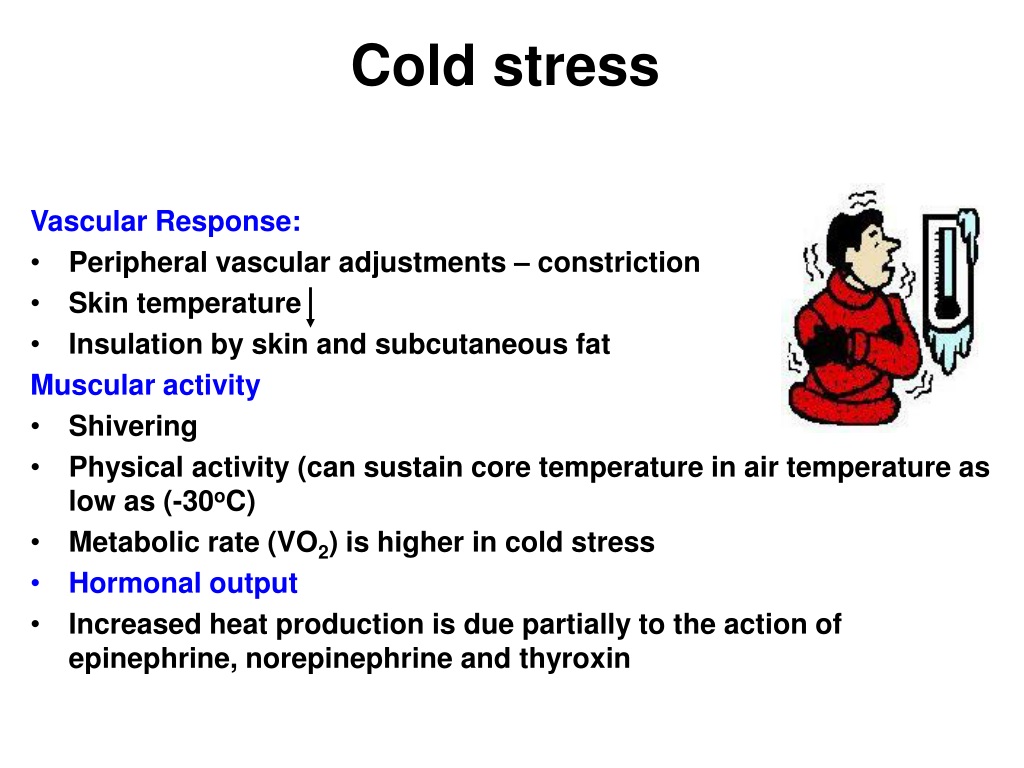 PPT - Exercise and Thermal stress PowerPoint Presentation, free ...