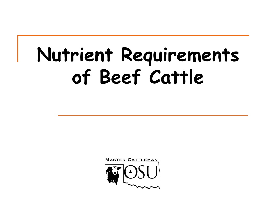 PPT - Nutrient Requirements Of Beef Cattle PowerPoint Presentation ...