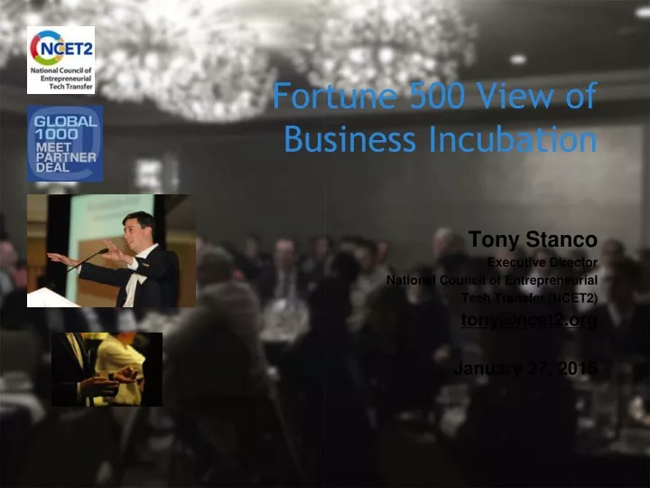 fortune 500 view of business incubation n.