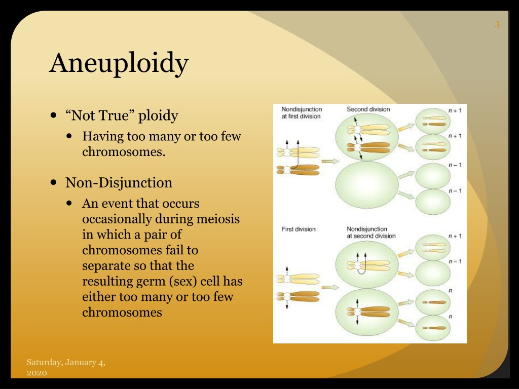 Ppt Non Disjunction Aneuploidy And Abnormalities In Chromosome Structure Powerpoint 0564