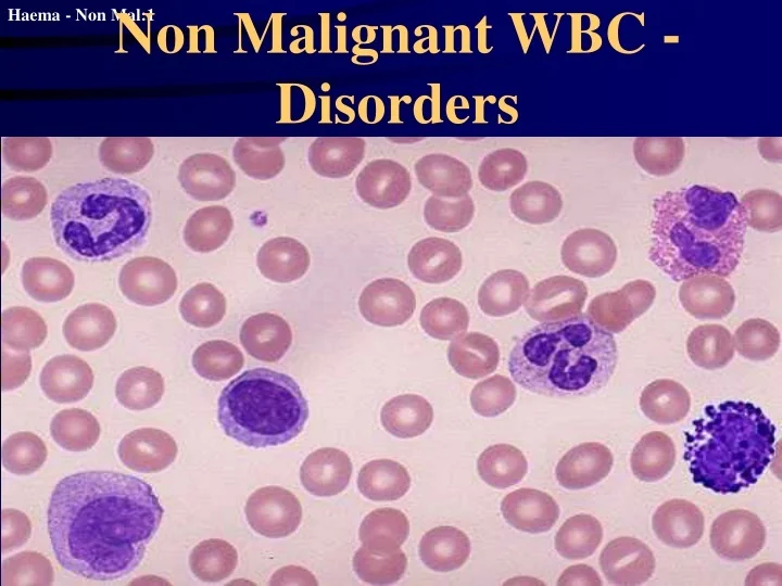 PPT Non Malignant WBC Disorders PowerPoint Presentation, free
