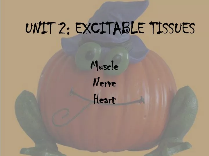 unit 2 excitable tissues n.