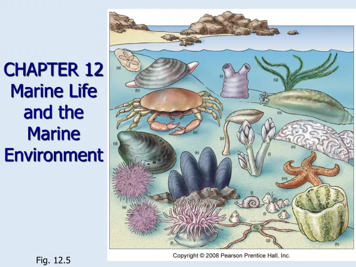 chapter 12 marine life and the marine environment n.