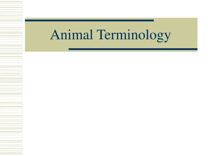 PPT Animal Terminology PowerPoint Presentation, free download ID