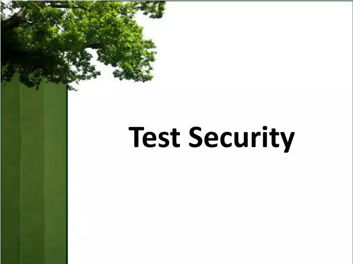 test security n.