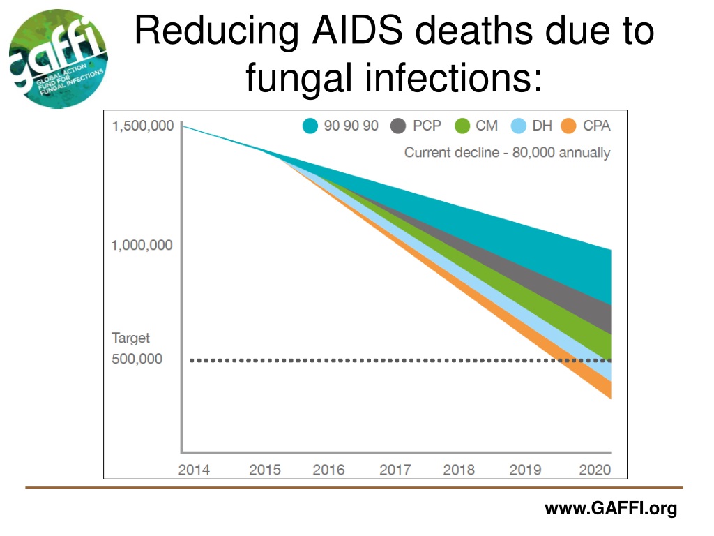 PPT 10 year Roadmap 9595 by 2025 David W. Denning President GAFFI