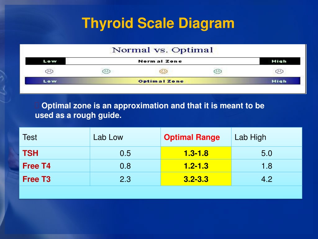 PPT - Interpretation of laboratory thyroid function tests PowerPoint ...