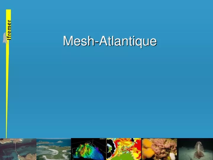mesh atlantique n.