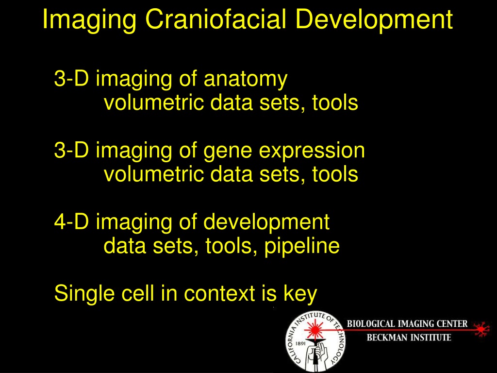 Ppt 1 3d Atlases Of Normal Craniofacial Development Mouse And