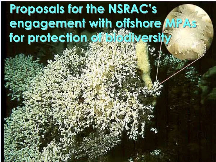 proposals for the nsrac s engagement with n.