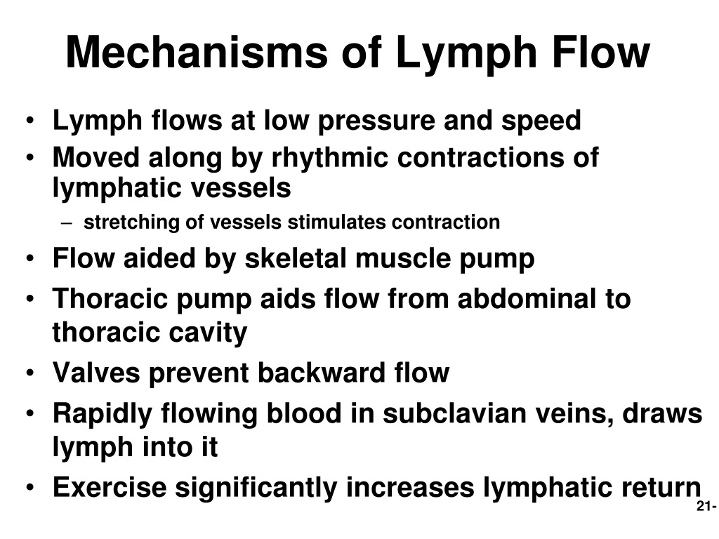 PPT - Lymphatic and Immune Systems PowerPoint Presentation, free ...