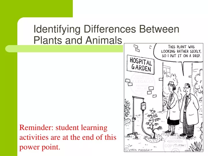 ppt-identifying-differences-between-plants-and-animals-powerpoint