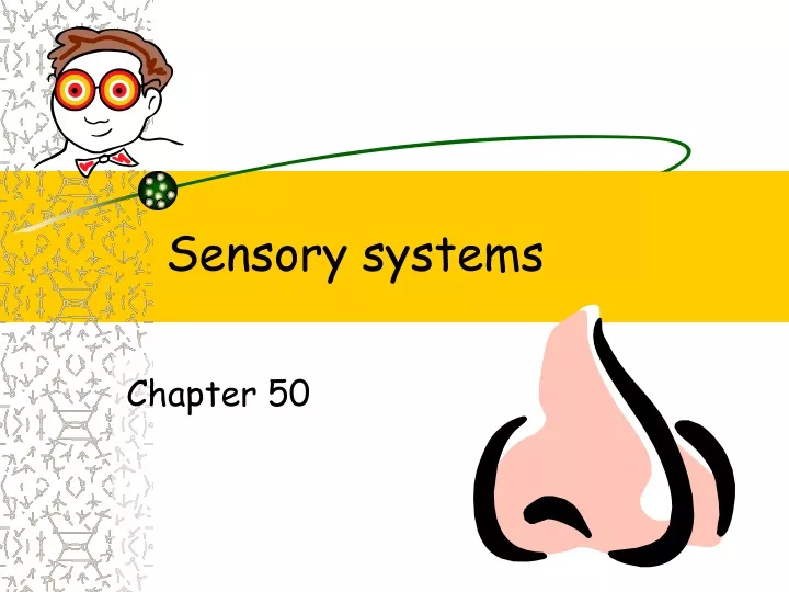 Ppt Sensory Systems Powerpoint Presentation Free Download Id