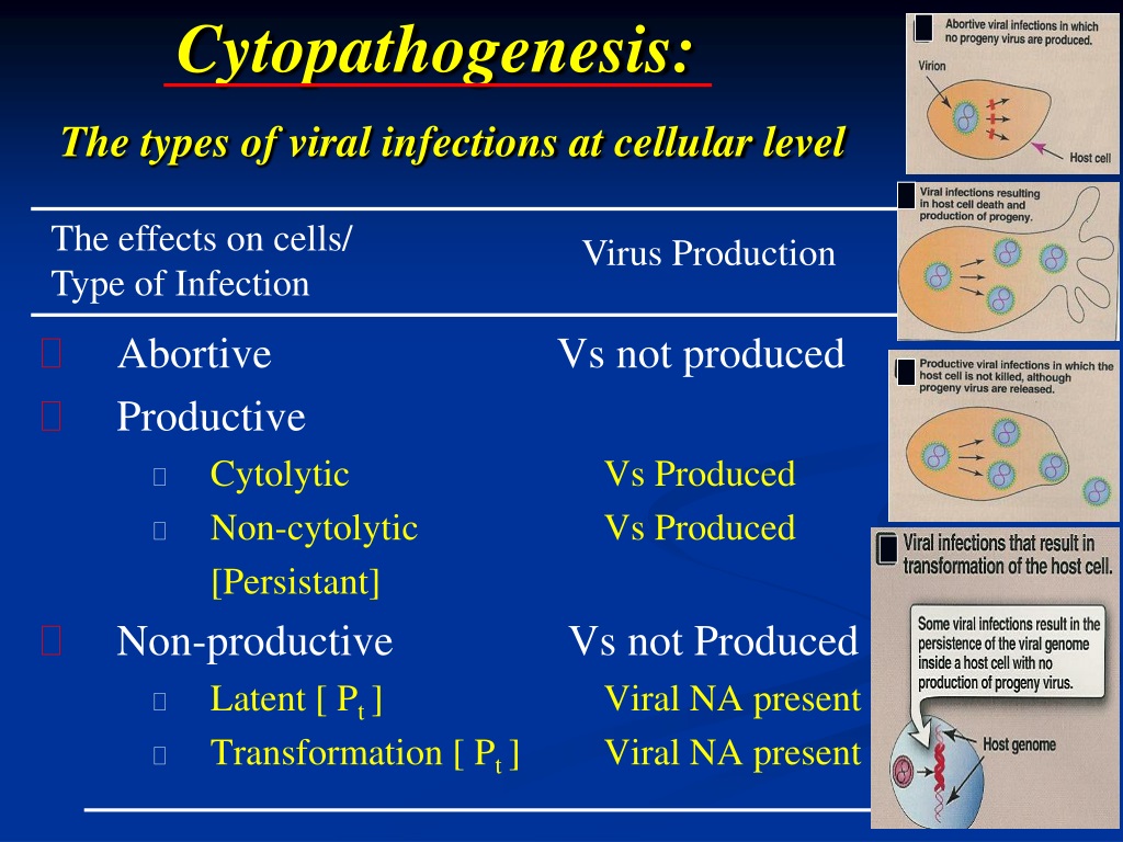 Types of viruses. Viral infection. Virus Cells.