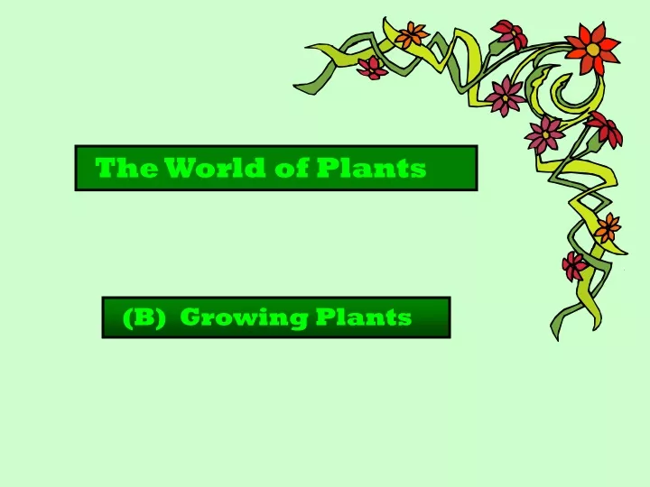 the world of plants n.
