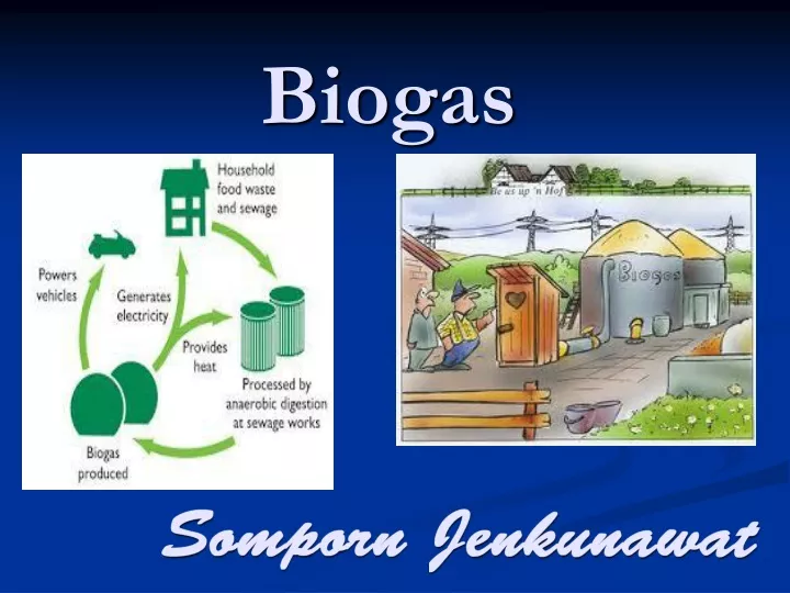 Biogas N 